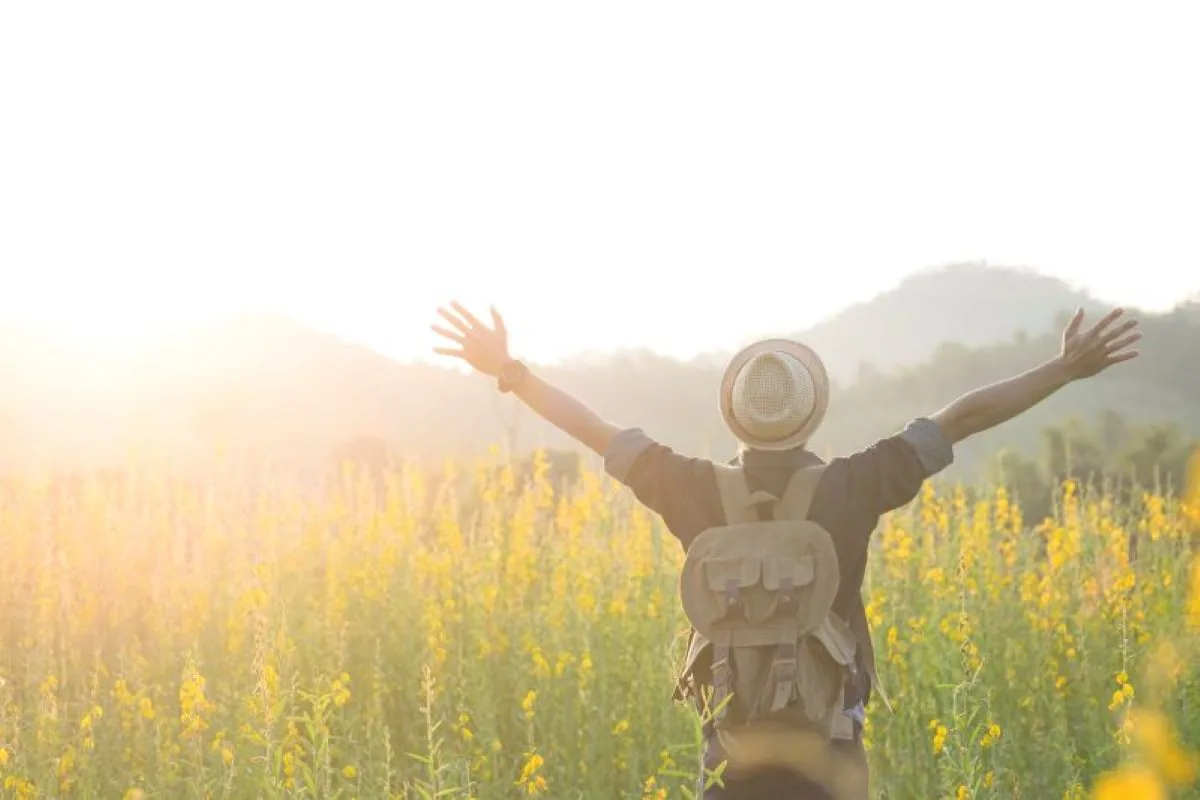 Looking for Happiness (Part 1)
